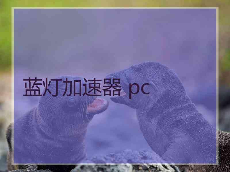 蓝灯加速器 pc