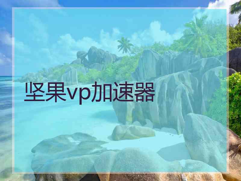 坚果vp加速器