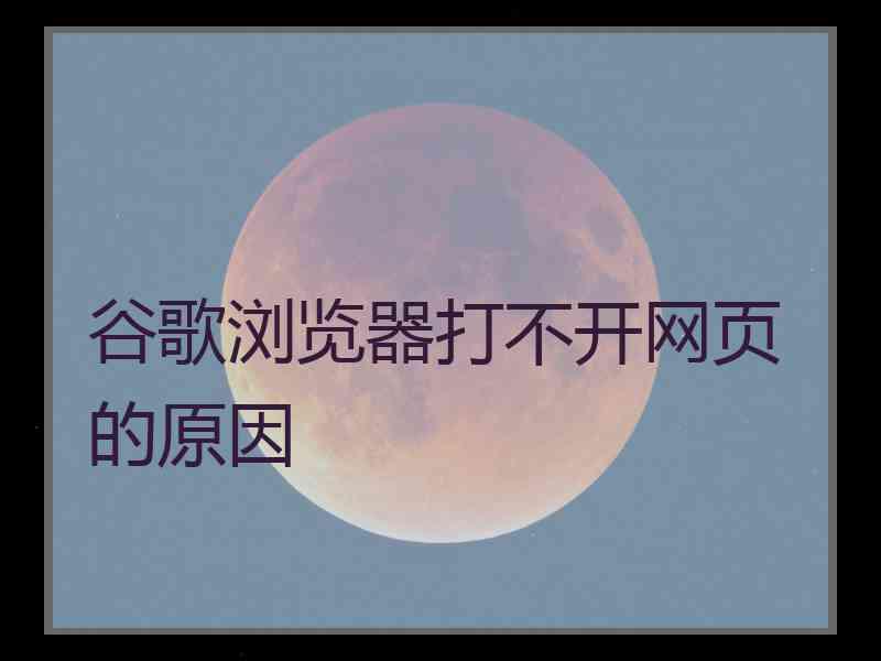 谷歌浏览器打不开网页的原因