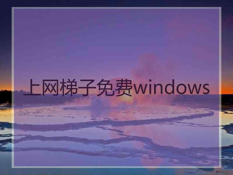 上网梯子免费windows