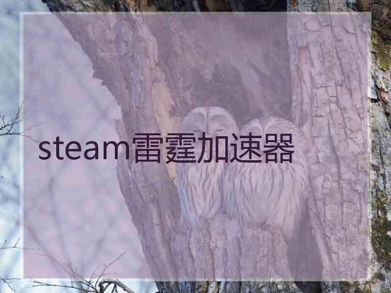 steam雷霆加速器