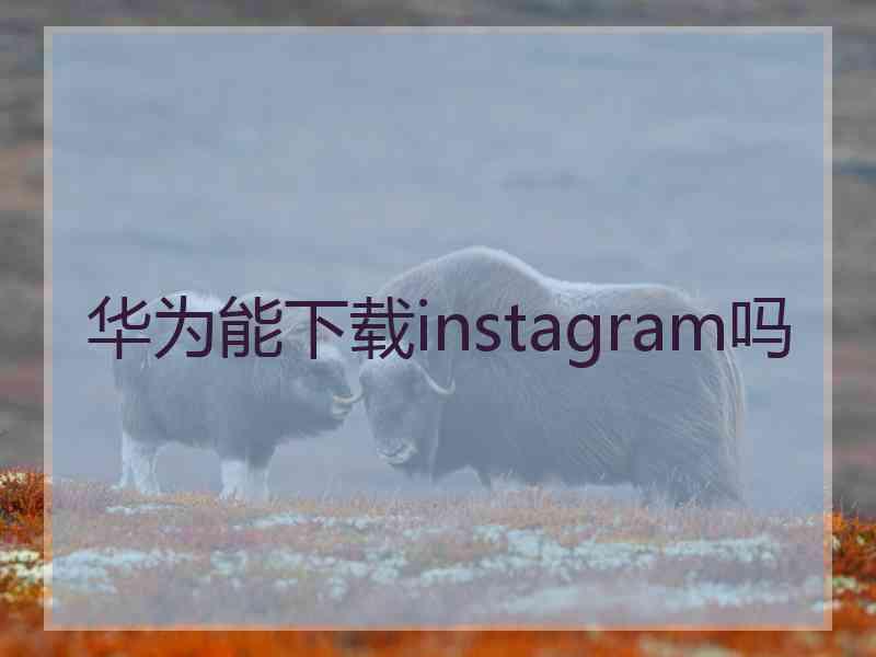 华为能下载instagram吗