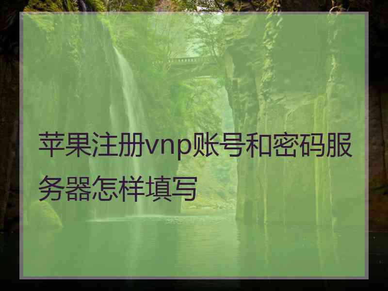 苹果注册vnp账号和密码服务器怎样填写