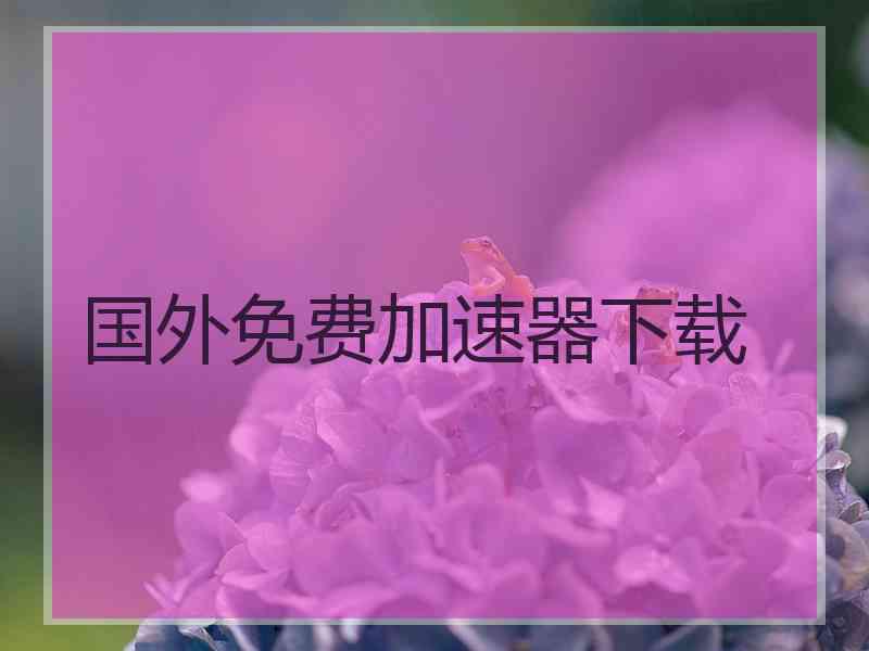 国外免费加速器下载