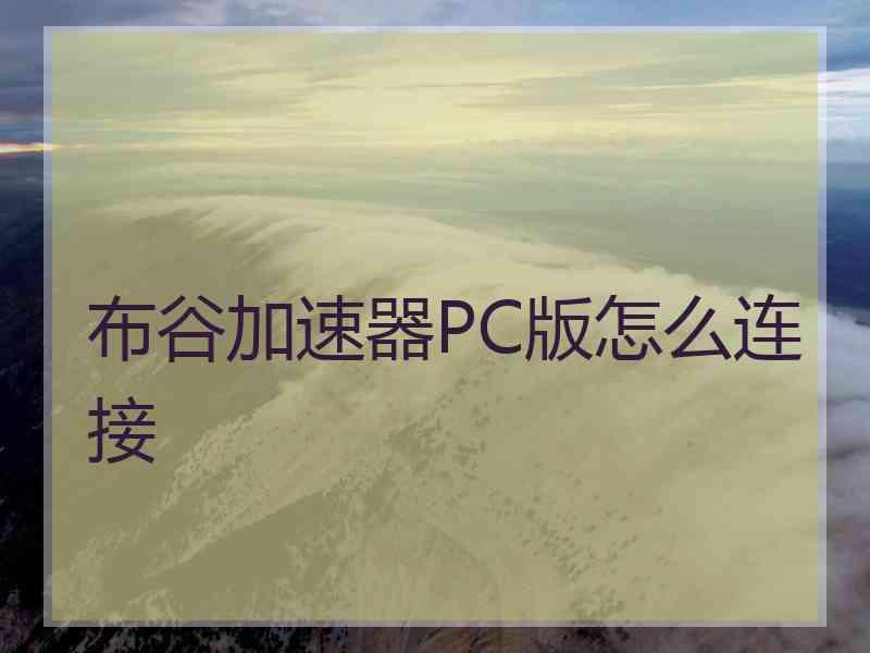 布谷加速器PC版怎么连接