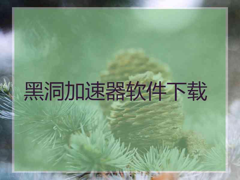 黑洞加速器软件下载