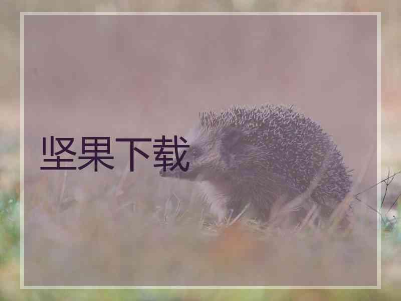 坚果下载