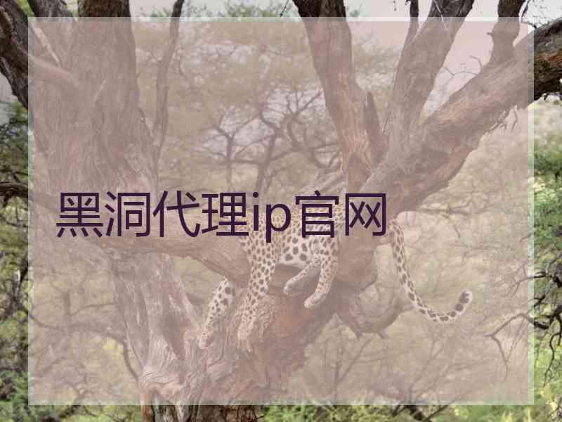 黑洞代理ip官网