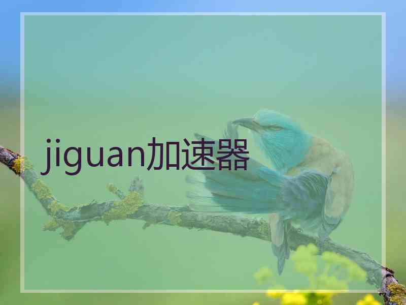 jiguan加速器