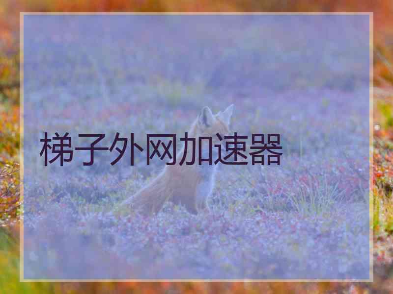梯子外网加速器