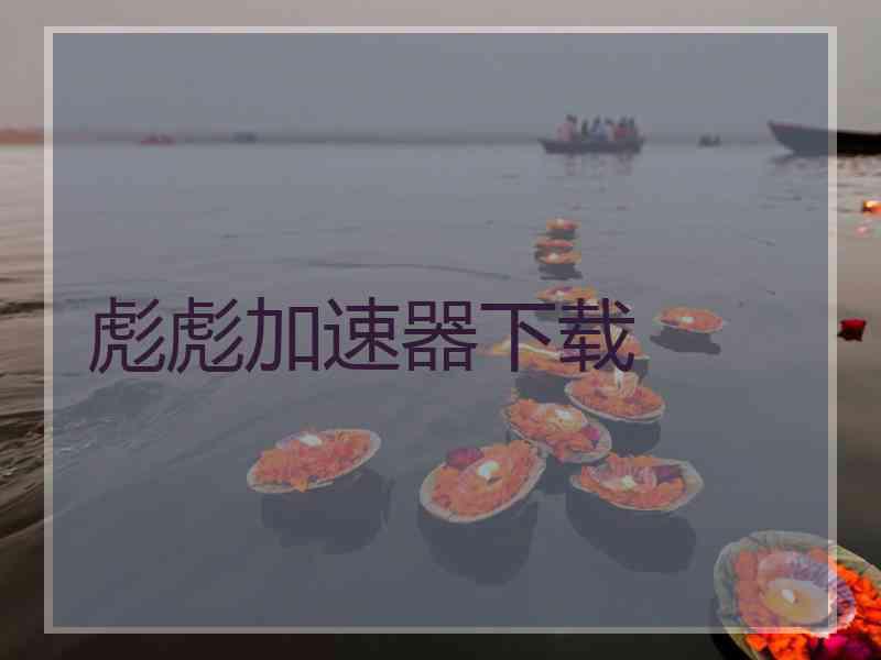 彪彪加速器下载