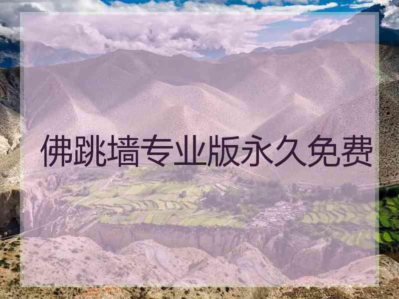 佛跳墙专业版永久免费