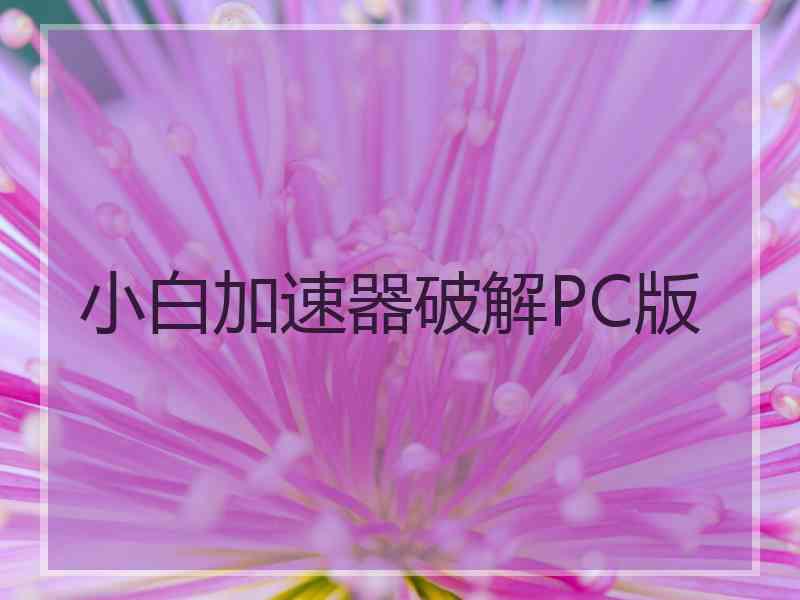 小白加速器破解PC版