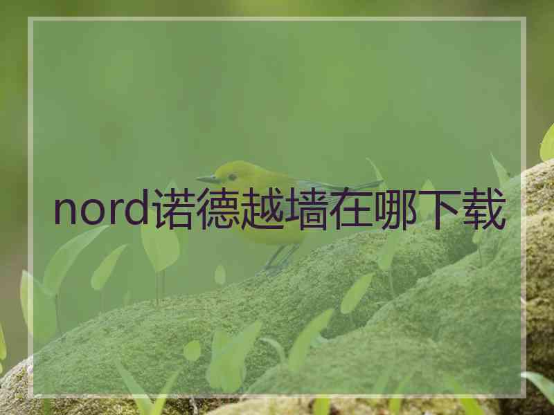 nord诺德越墙在哪下载