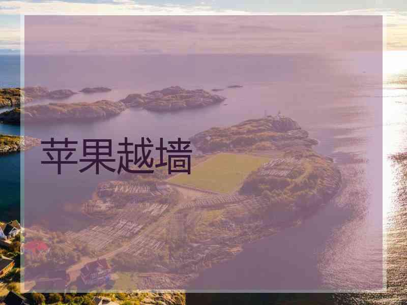苹果越墙