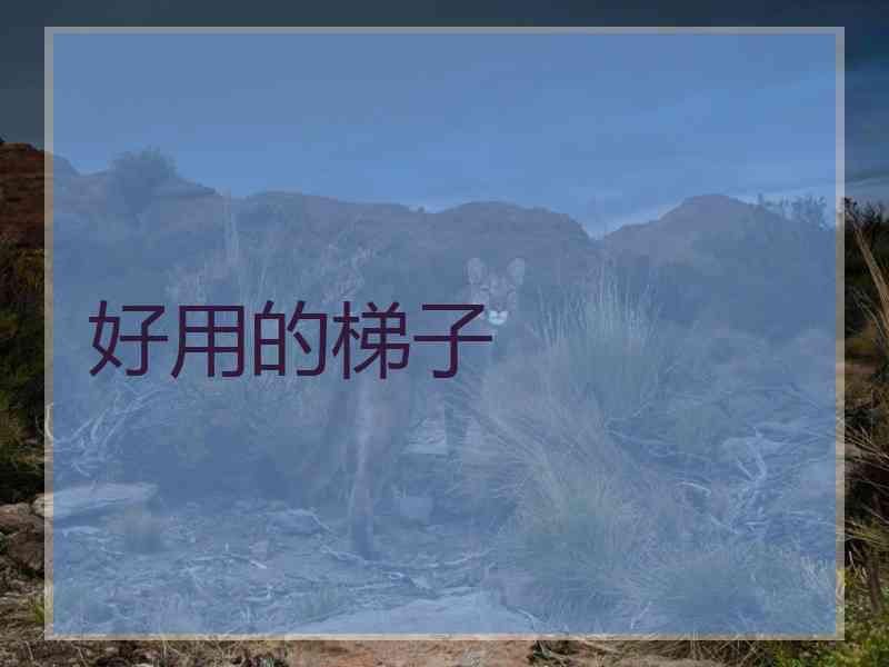 好用的梯子
