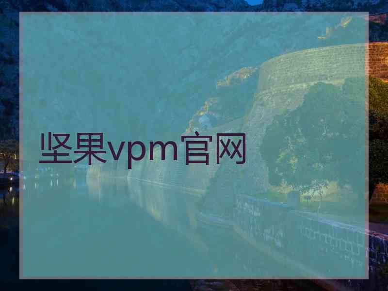坚果vpm官网
