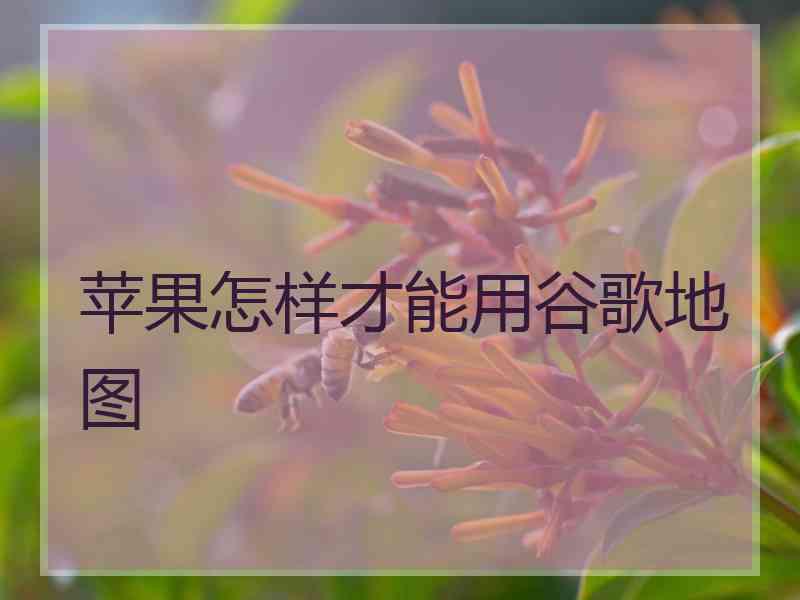 苹果怎样才能用谷歌地图