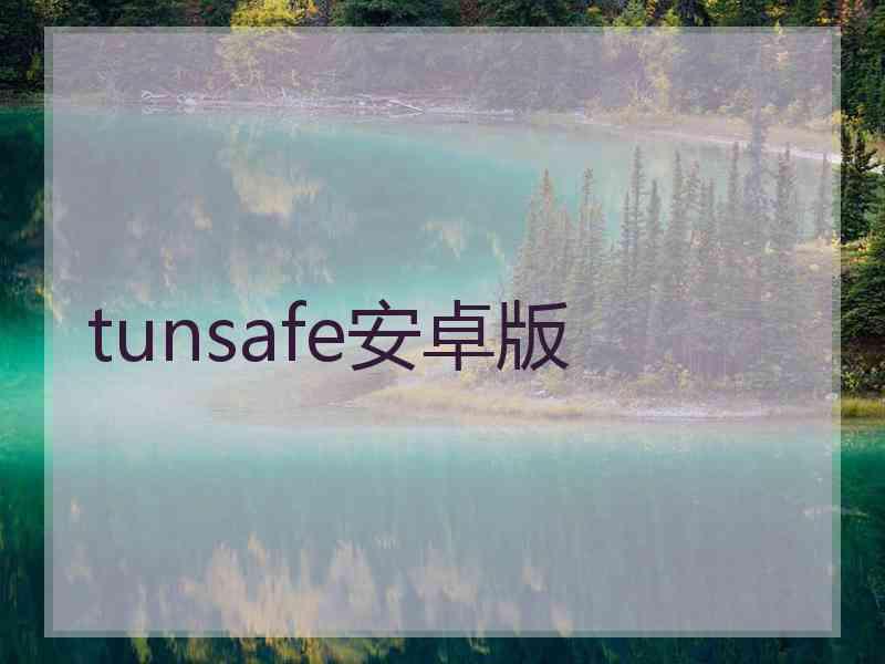 tunsafe安卓版