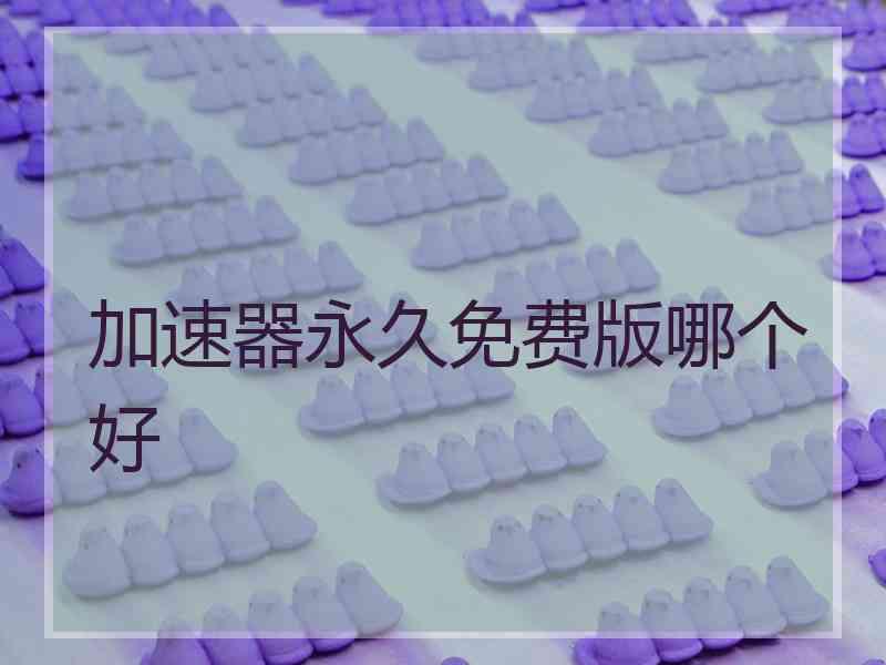 加速器永久免费版哪个好