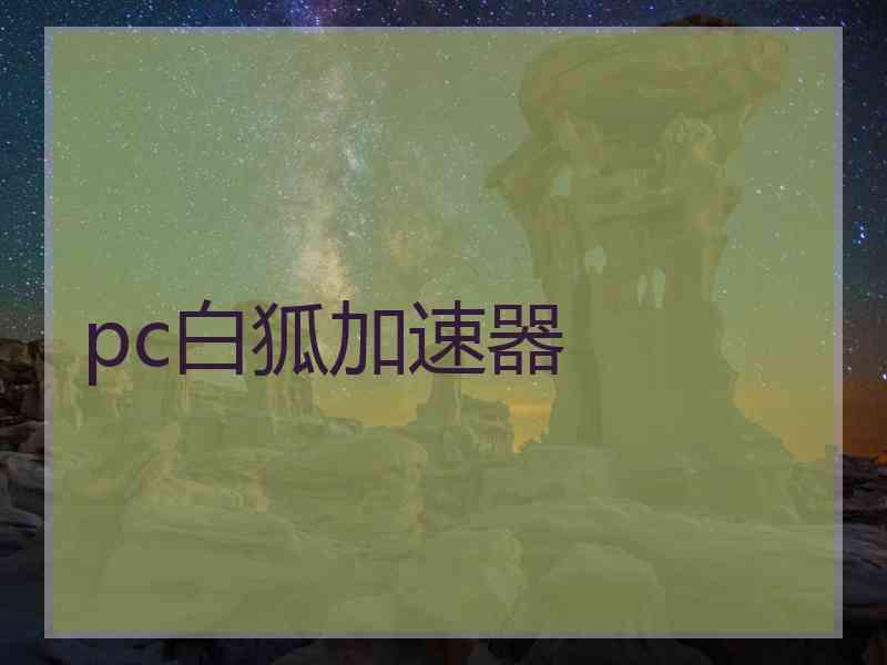 pc白狐加速器