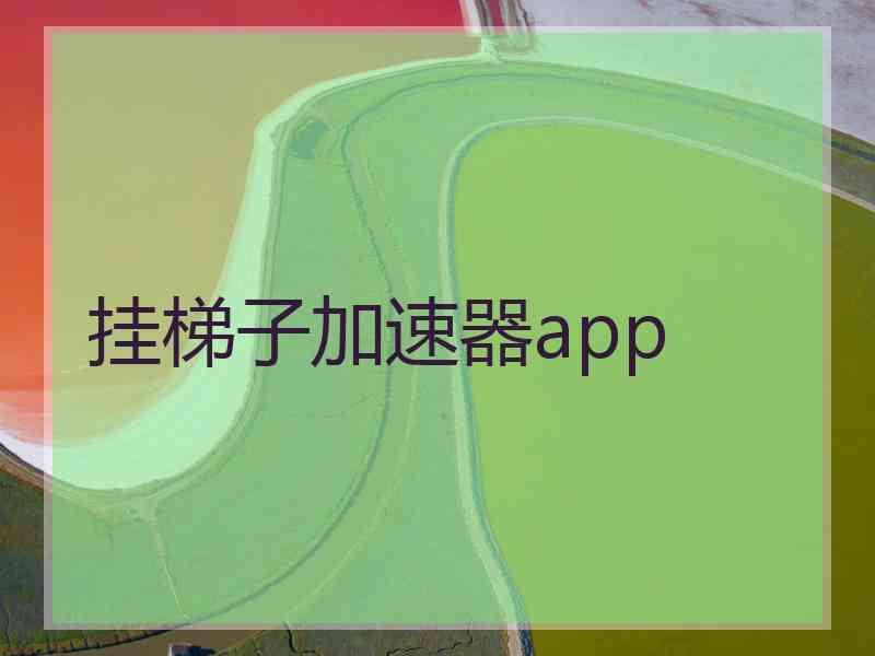挂梯子加速器app