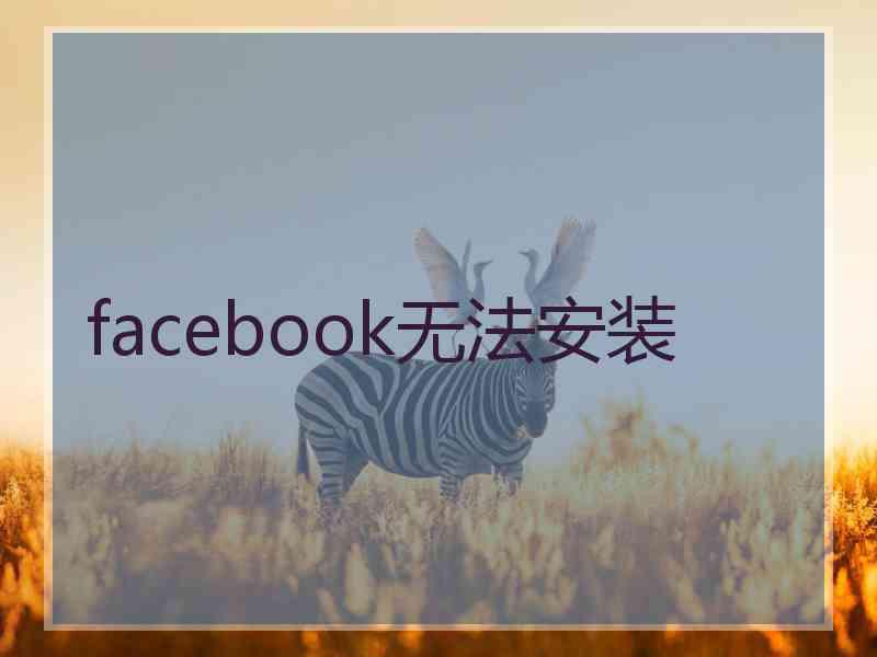 facebook无法安装