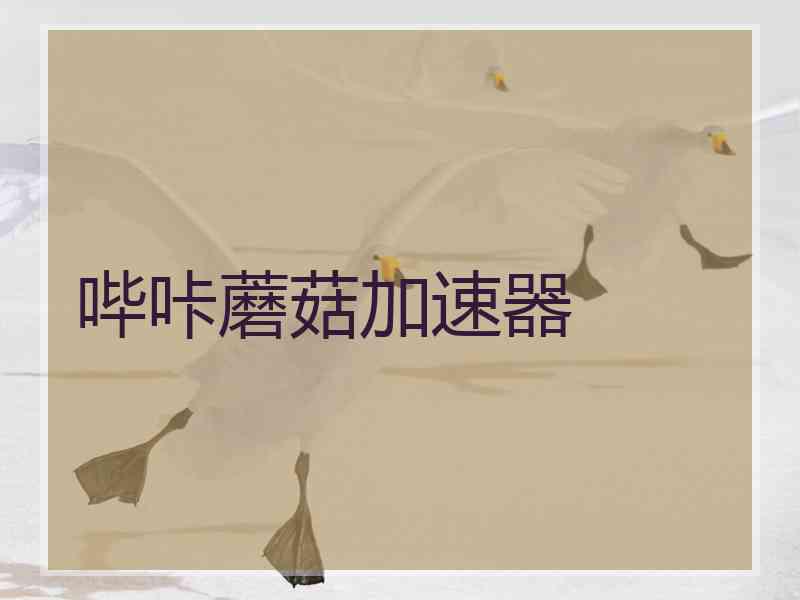 哔咔蘑菇加速器