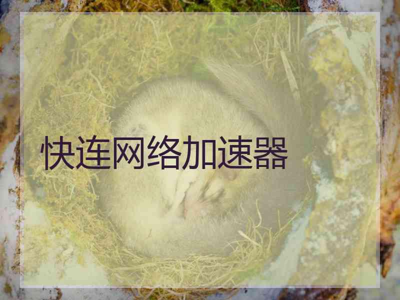 快连网络加速器