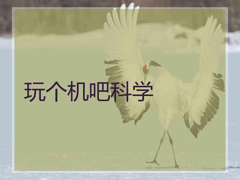 玩个机吧科学