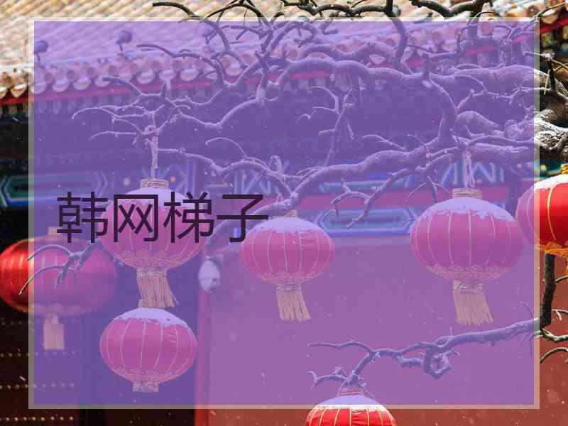 韩网梯子