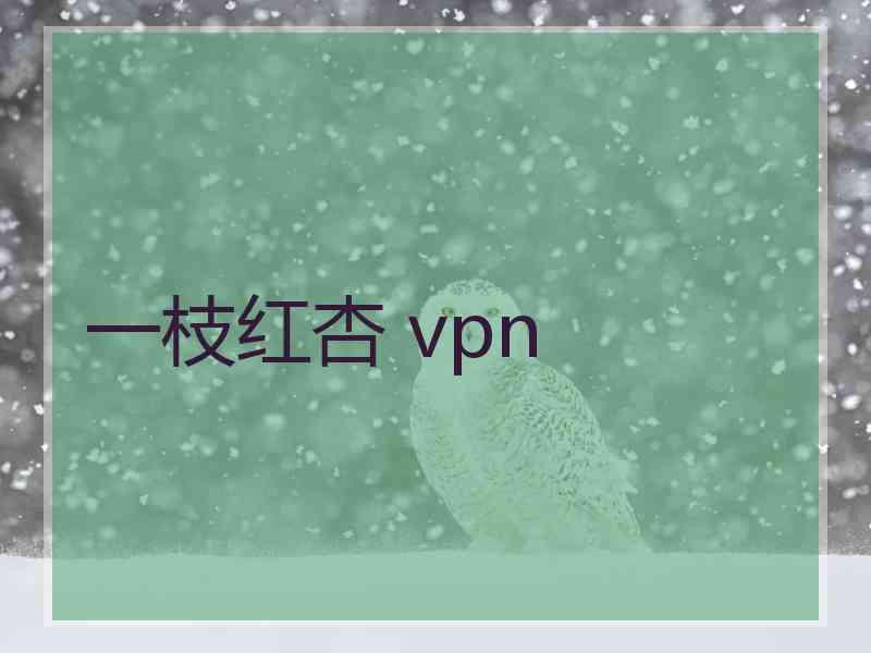 一枝红杏 vpn
