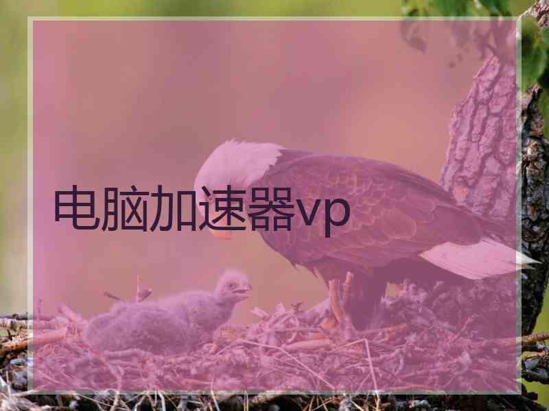 电脑加速器vp
