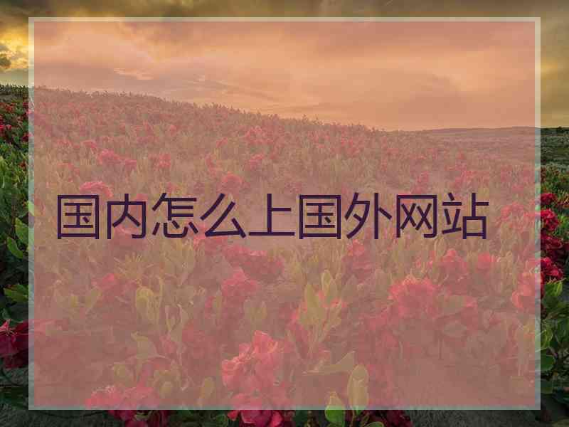 国内怎么上国外网站