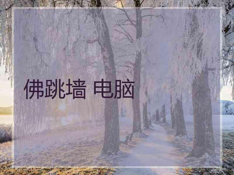 佛跳墙 电脑