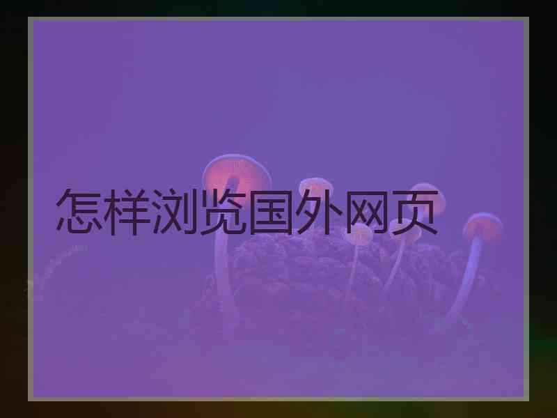 怎样浏览国外网页