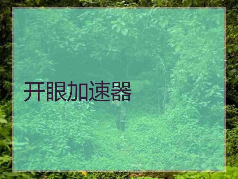 开眼加速器