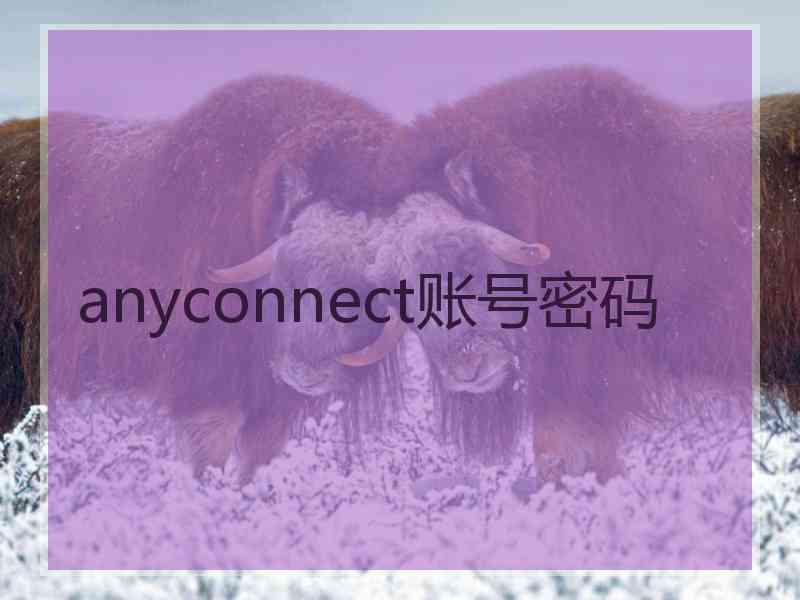 anyconnect账号密码