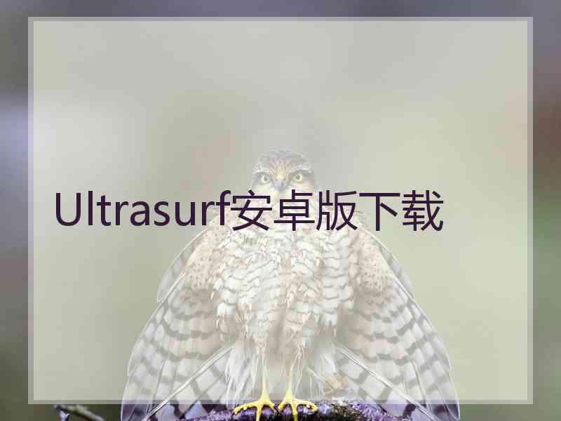 Ultrasurf安卓版下载