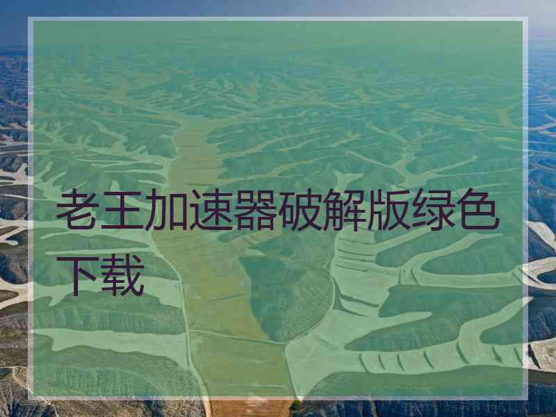 老王加速器破解版绿色下载
