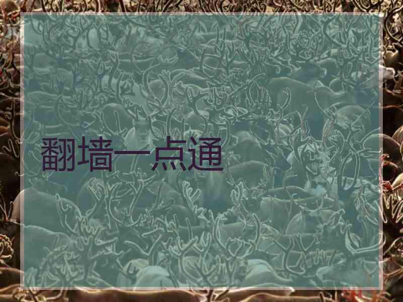 翻墙一点通