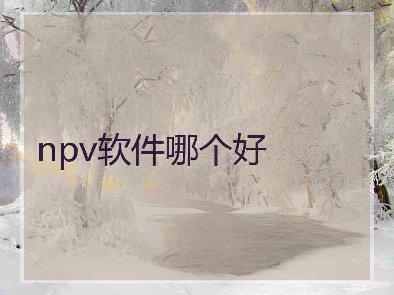 npv软件哪个好