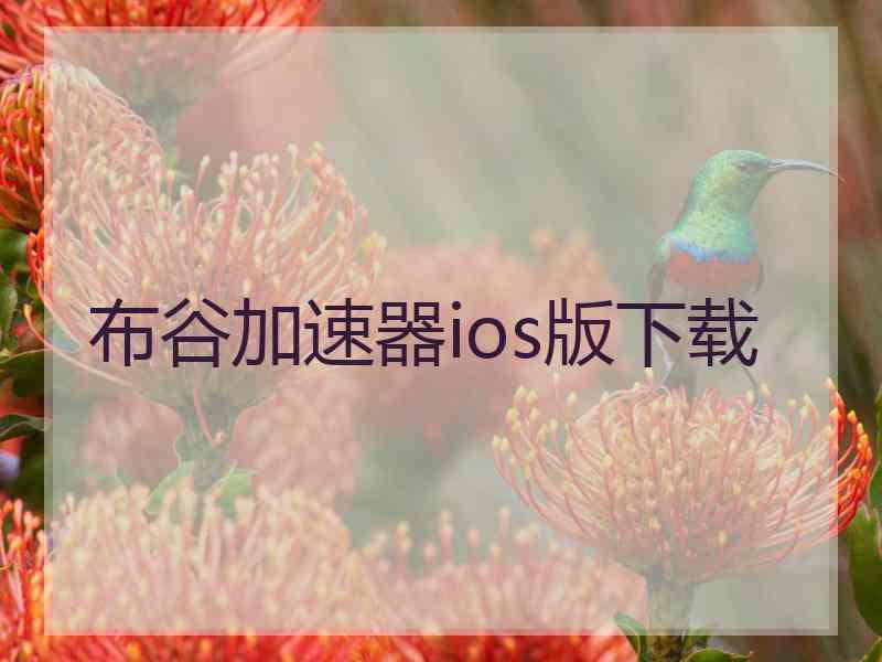 布谷加速器ios版下载