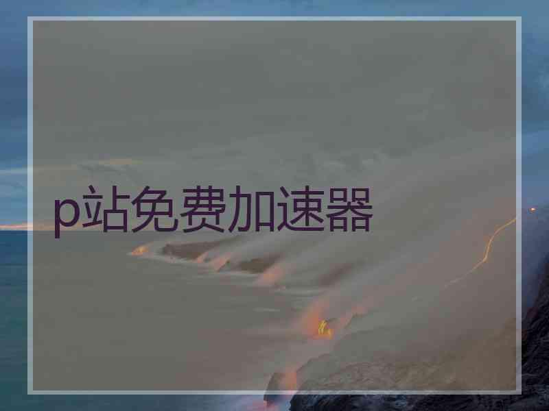 p站免费加速器