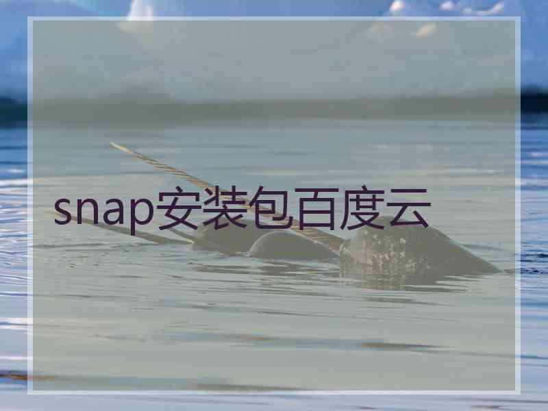 snap安装包百度云