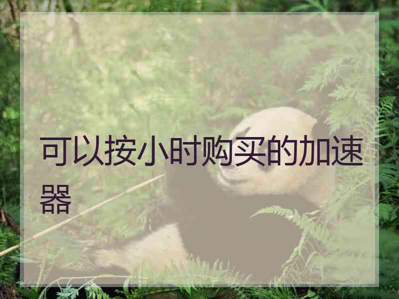 可以按小时购买的加速器