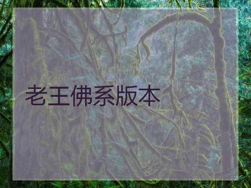 老王佛系版本