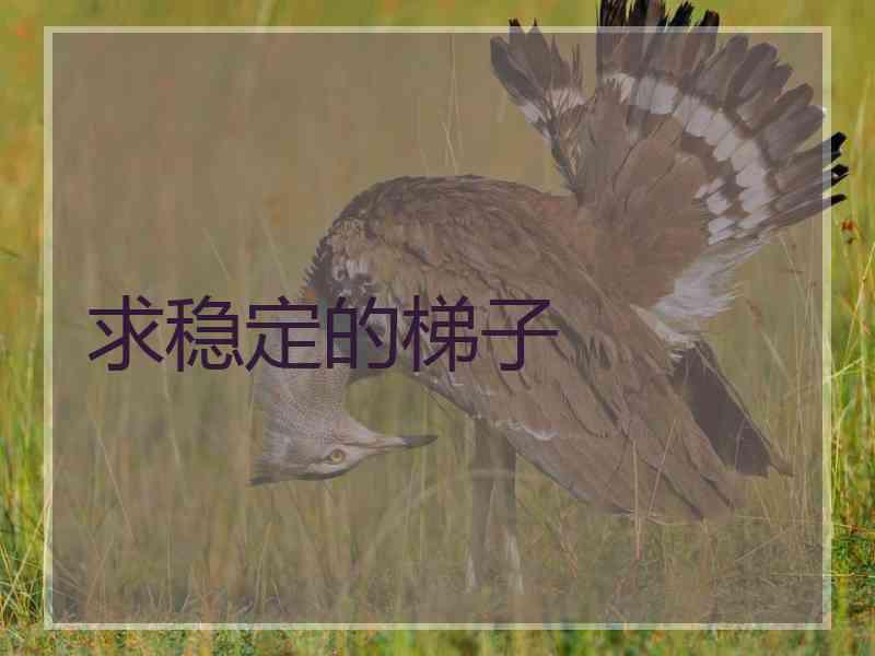 求稳定的梯子