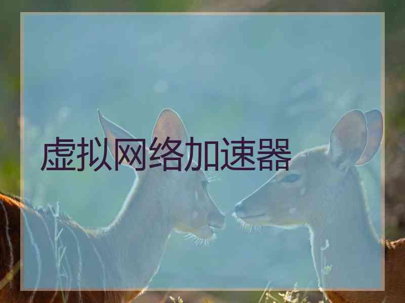 虚拟网络加速器