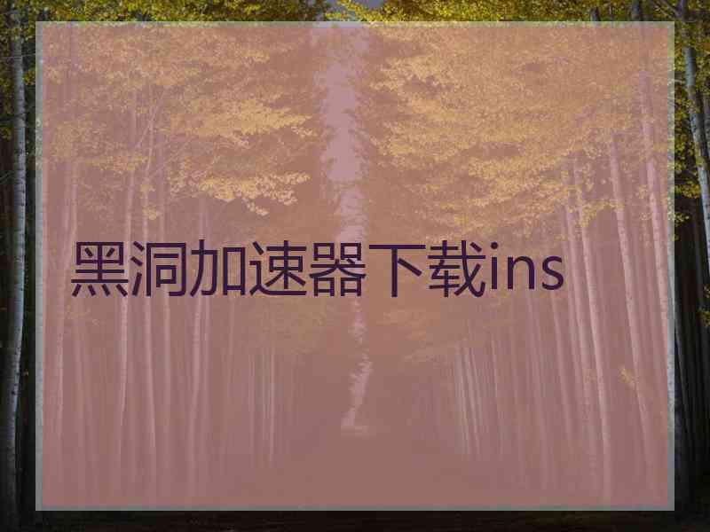 黑洞加速器下载ins